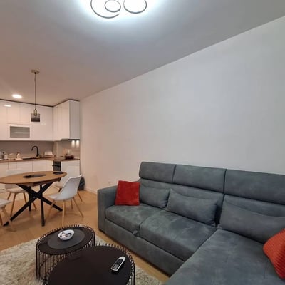 Аренда новой, меблированной 2-комнатной квартиры, 46 м², Новый Белград, Сербия